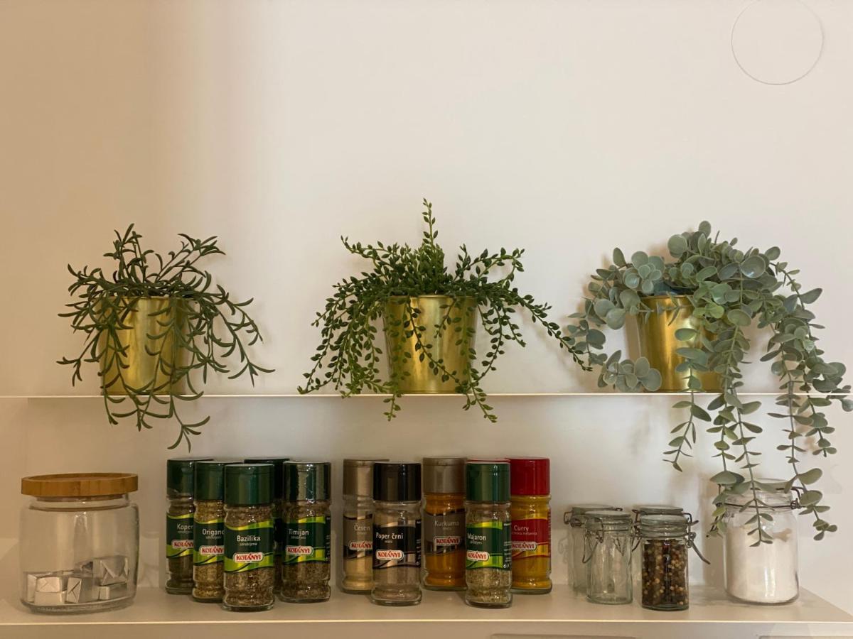 Green Corner Of Bovec - Apartment Bovec Ngoại thất bức ảnh
