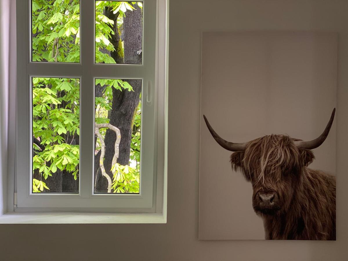 Green Corner Of Bovec - Apartment Bovec Ngoại thất bức ảnh